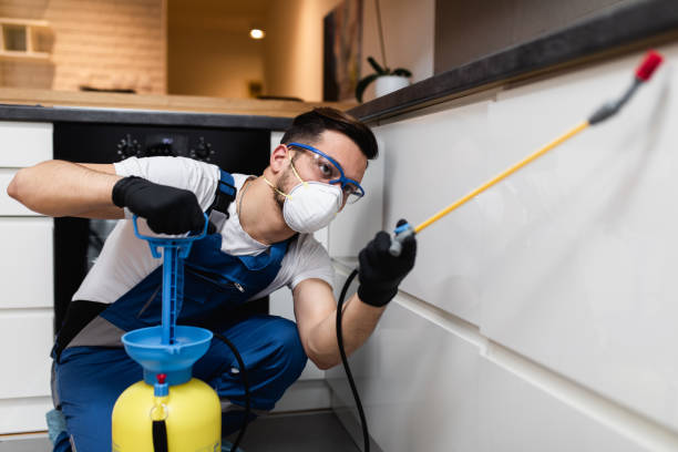 Best Affordable Pest Control Services  in Highland Park, NJ