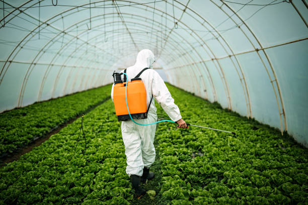 Pest Control Cost in Highland Park, NJ