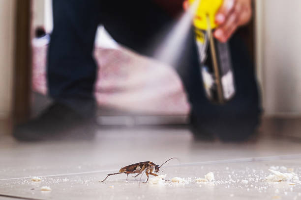 Pest Control for Restaurants in Highland Park, NJ