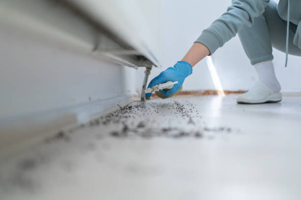 Best Best Pest Control Companies  in Highland Park, NJ